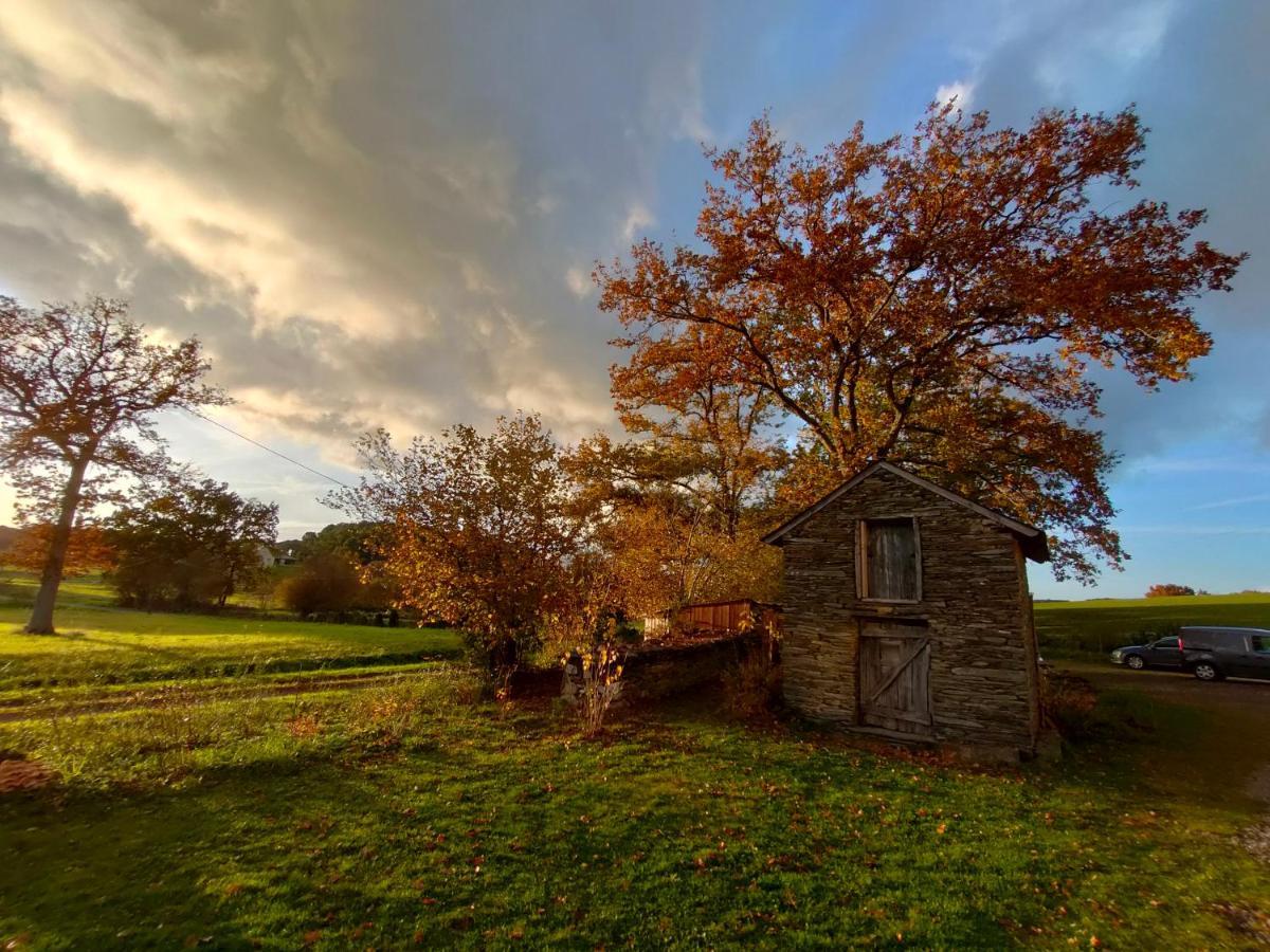 La Villauvert - Cottage Saint-Martin-sur-Oust Buitenkant foto